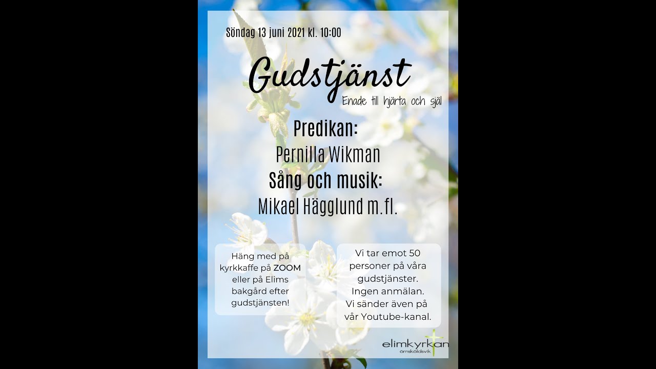 YouTube video player