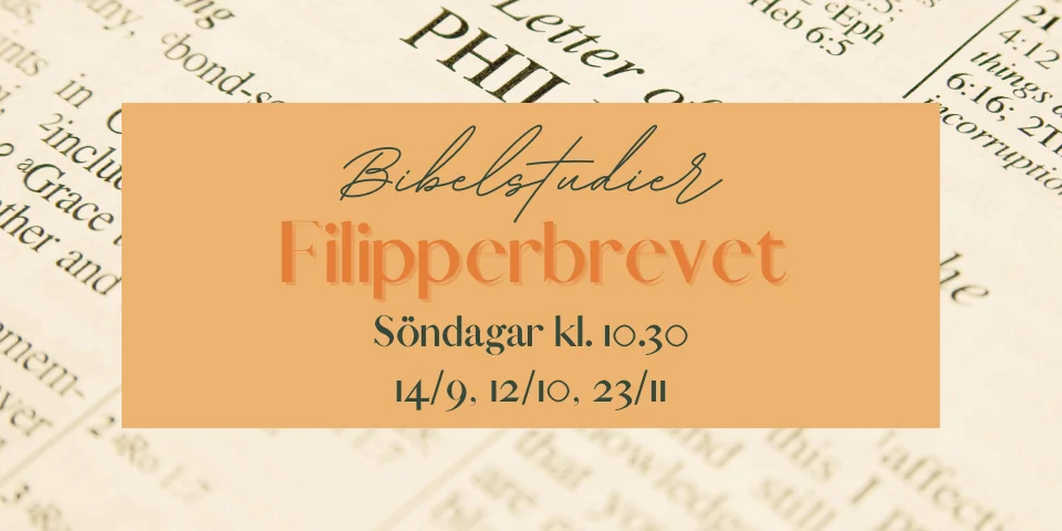 Kopia av kopia av kopia av kopia av fördjupningsmånad (1)