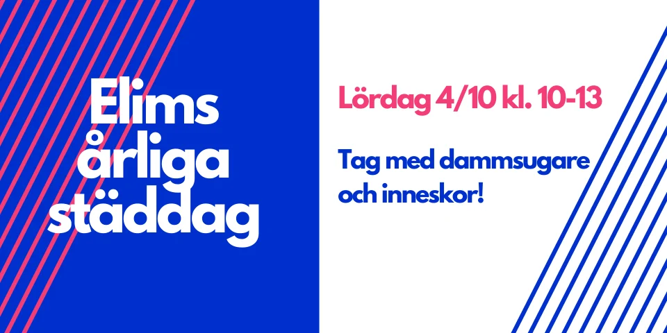 Städ dag (1)